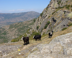 Naturalna Macedonia