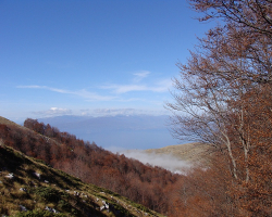 Galiczica Park Narodowy